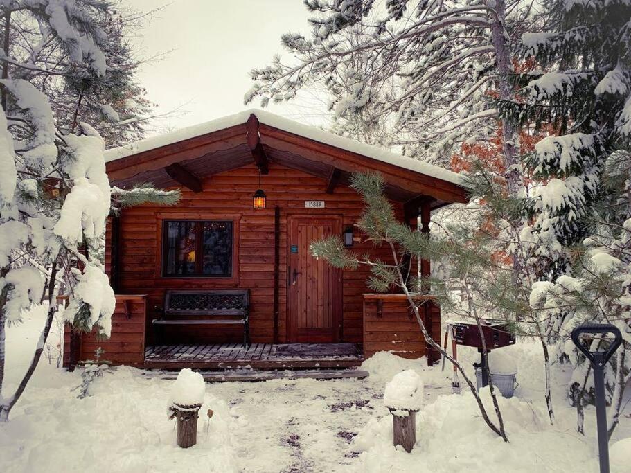 Honeybear Hideaway Cabin Hayward Exterior foto